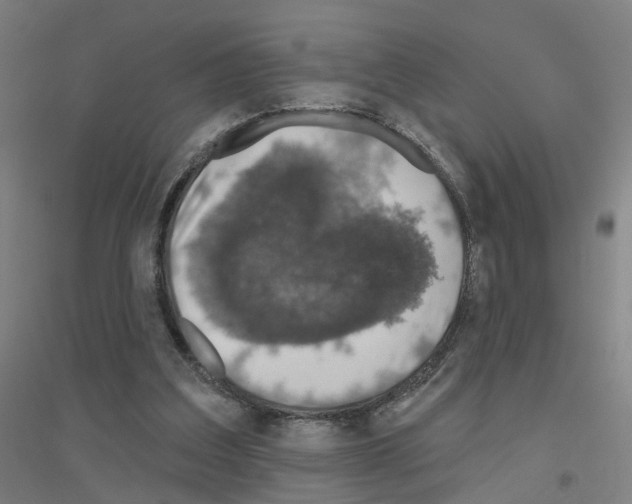 X0000116830203201001291650