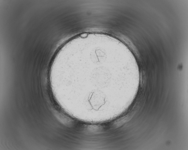 X0000116830204201001291650