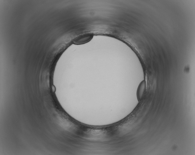 X0000116830205201001291650