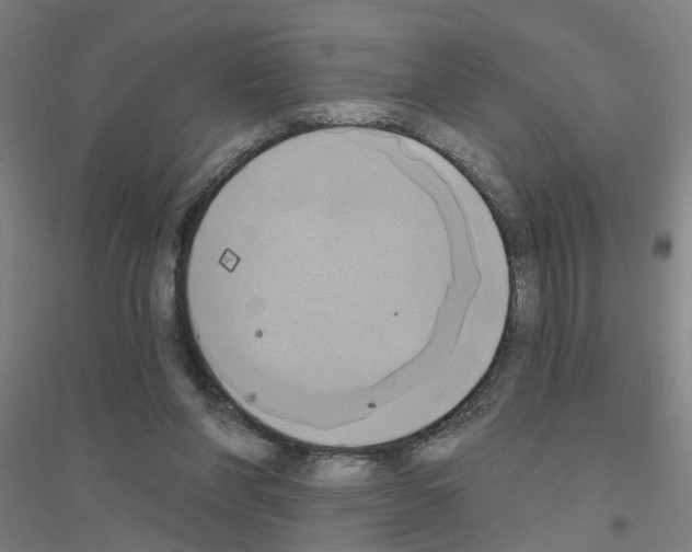 X0000116830206201001291650