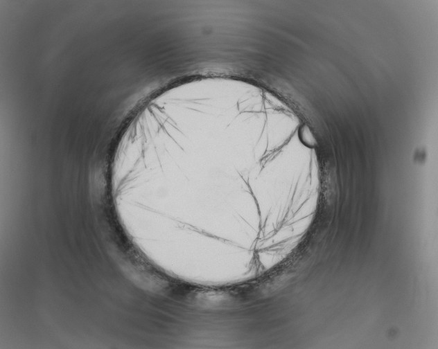 X0000116830208201001291650