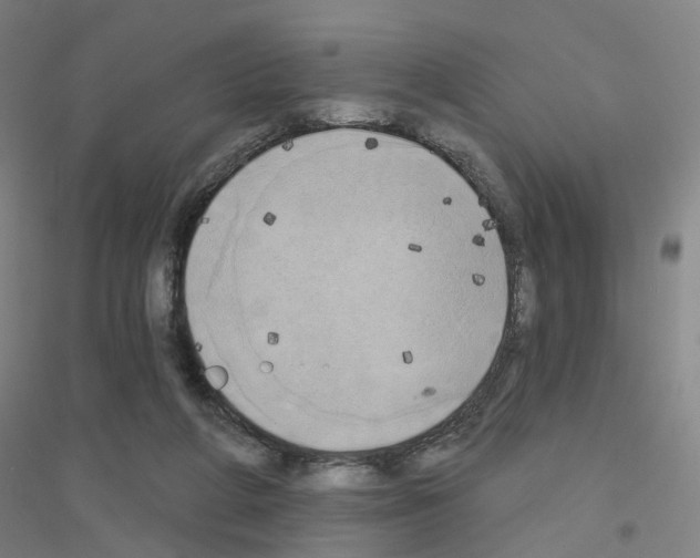 X0000116830210201001291650