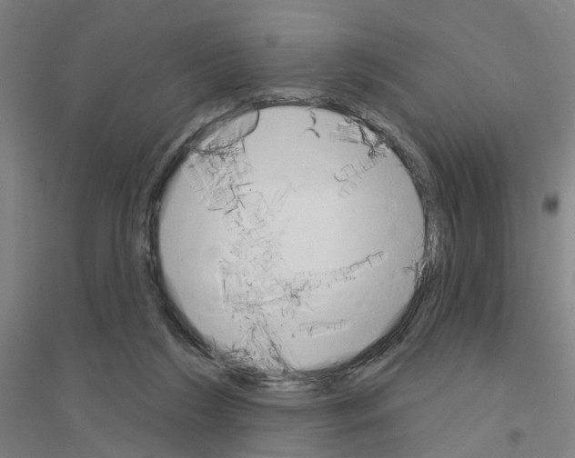 X0000116830212201001291650