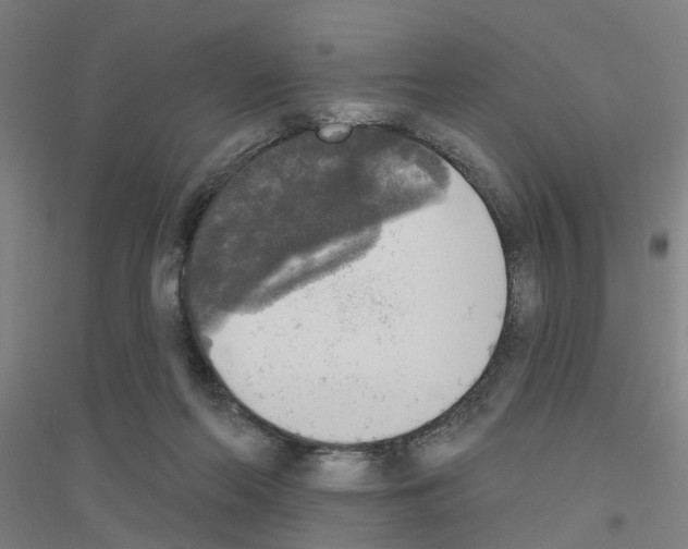 X0000116830214201001291650