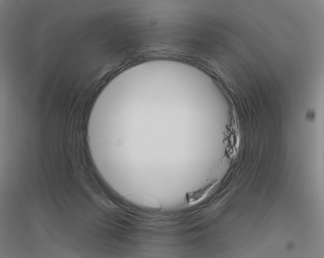 X0000116830215201001291650