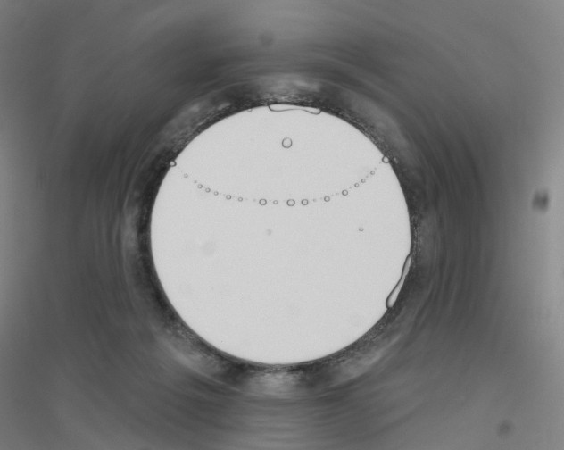 X0000116830217201001291650