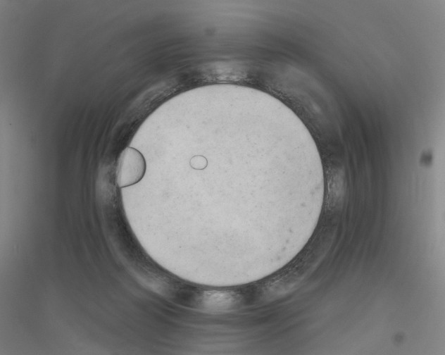 X0000116830218201001291650