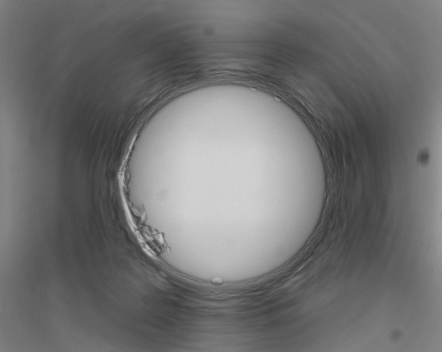 X0000116830219201001291650