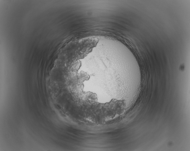 X0000116830220201001291650