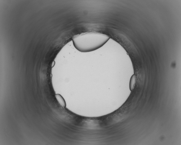 X0000116830221201001291650