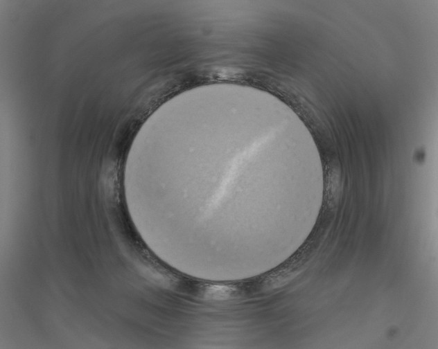 X0000116830222201001291650