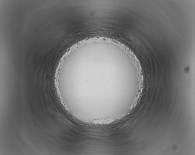 X0000116830223201001291650