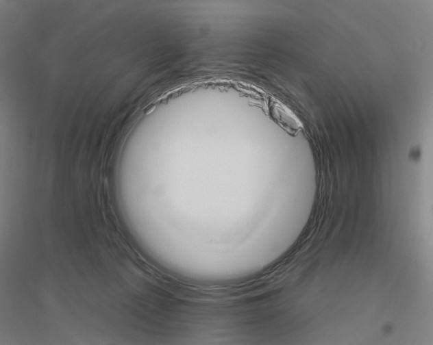 X0000116830225201001291650