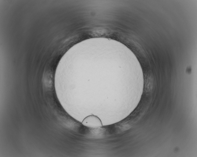 X0000116830226201001291650