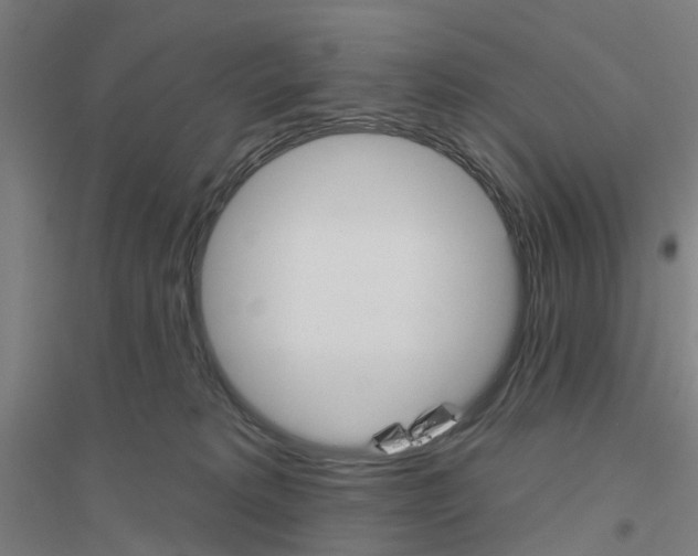 X0000116830229201001291650