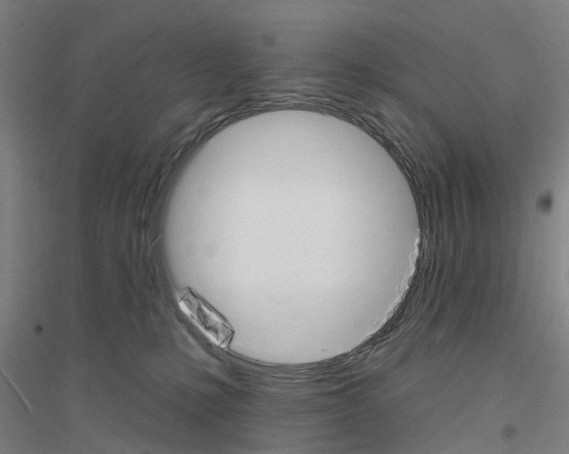 X0000116830231201001291650