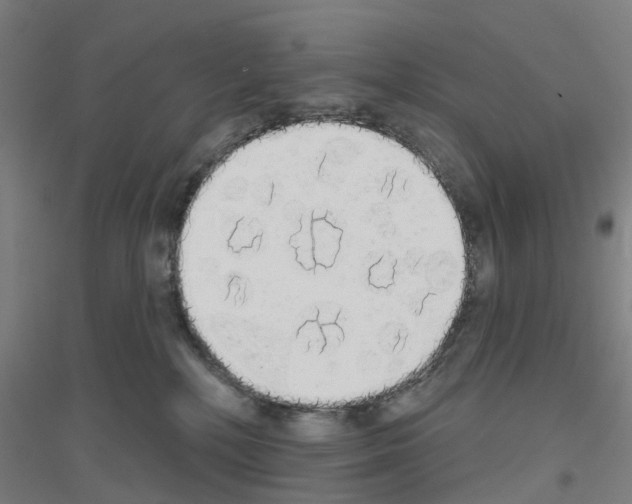 X0000116830232201001291650