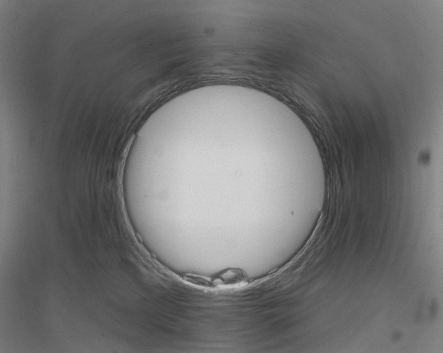 X0000116830233201001291650