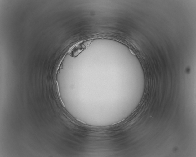 X0000116830237201001291649