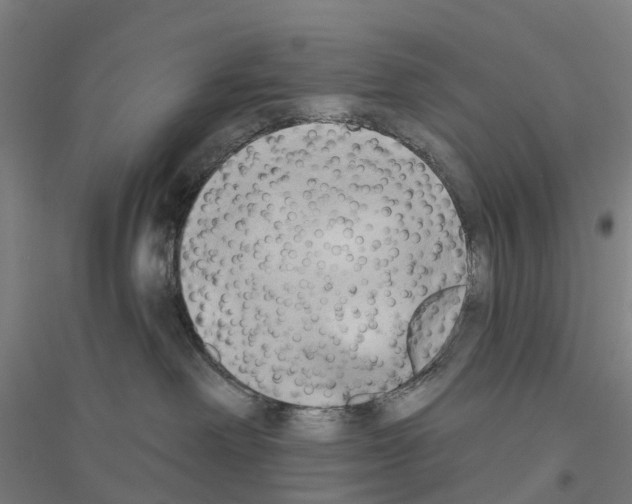 X0000116830238201001291649