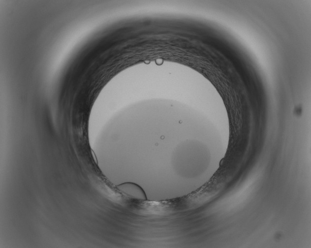 X0000116830239201001291649