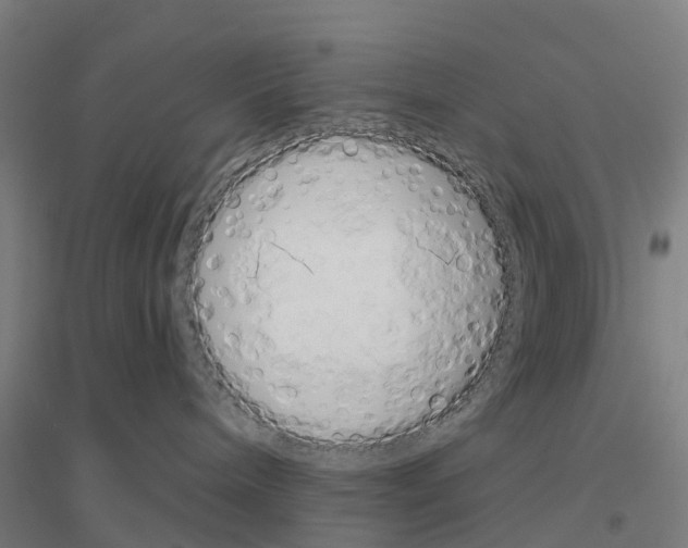 X0000116830240201001291649