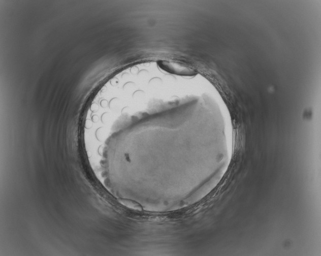 X0000116830243201001291649