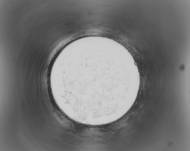 X0000116830244201001291649