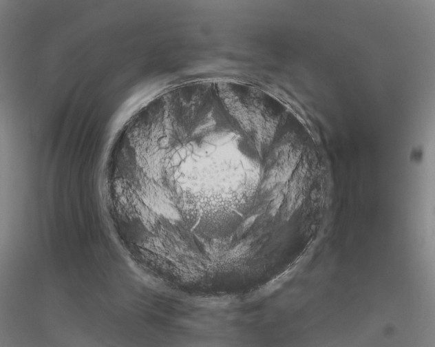 X0000116830245201001291649