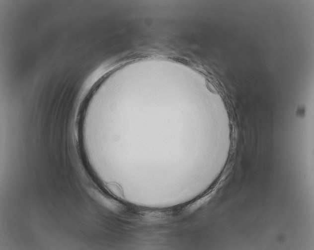 X0000116830246201001291649