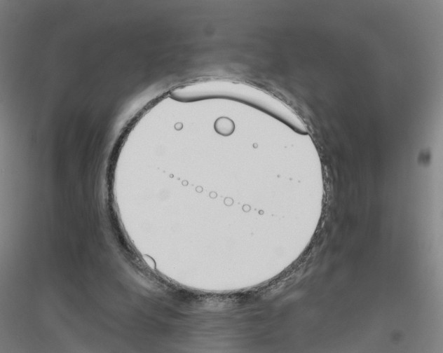 X0000116830248201001291649