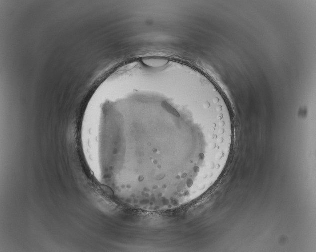 X0000116830249201001291649