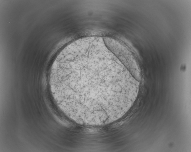 X0000116830250201001291649