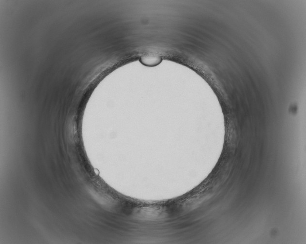 X0000116830251201001291649