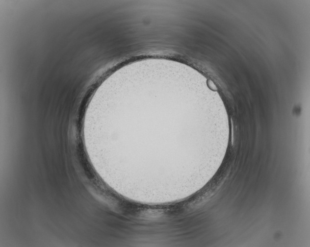 X0000116830252201001291649