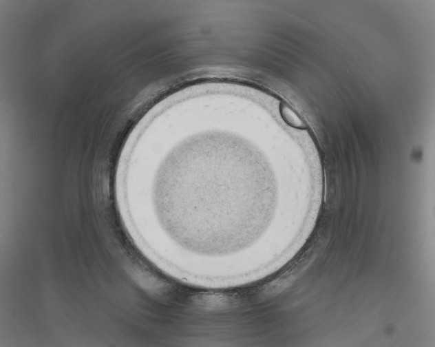 X0000116830253201001291649