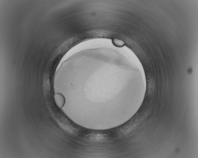 X0000116830254201001291649