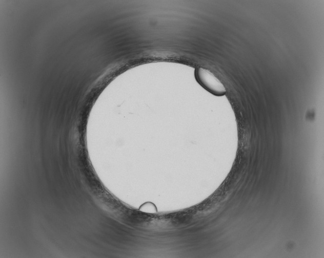 X0000116830256201001291649