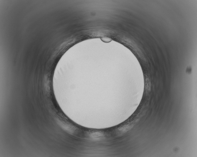 X0000116830258201001291649