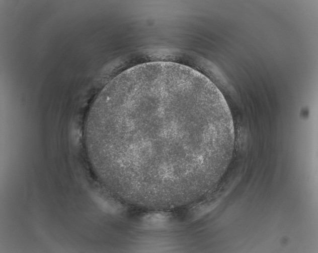 X0000116830259201001291649