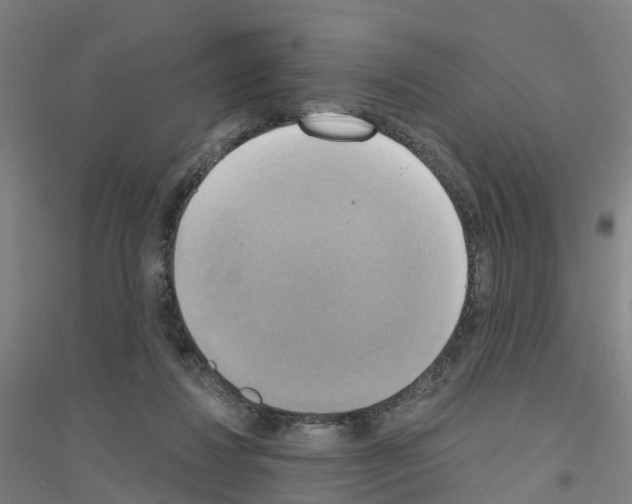 X0000116830260201001291649