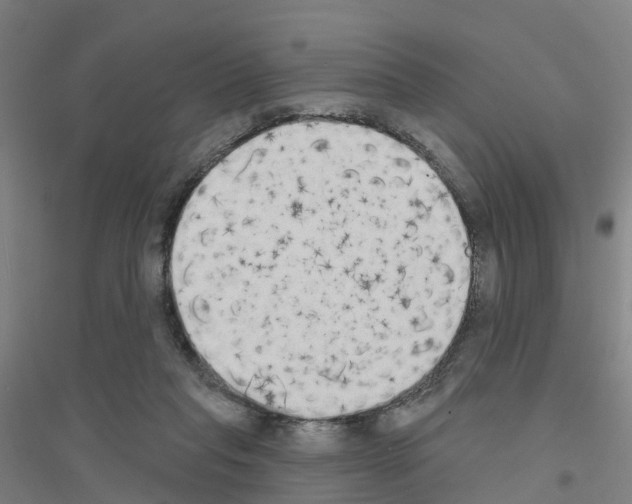 X0000116830261201001291649