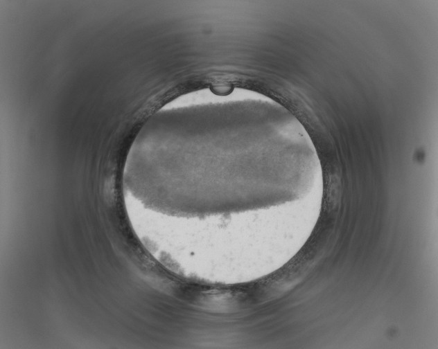 X0000116830267201001291649