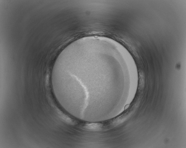 X0000116830269201001291649