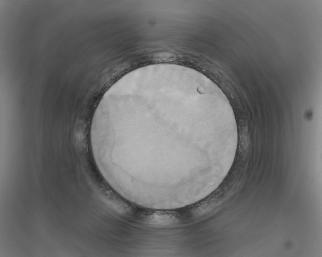 X0000116830270201001291649