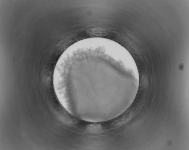 X0000116830271201001291649