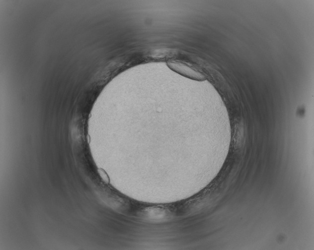 X0000116830272201001291649