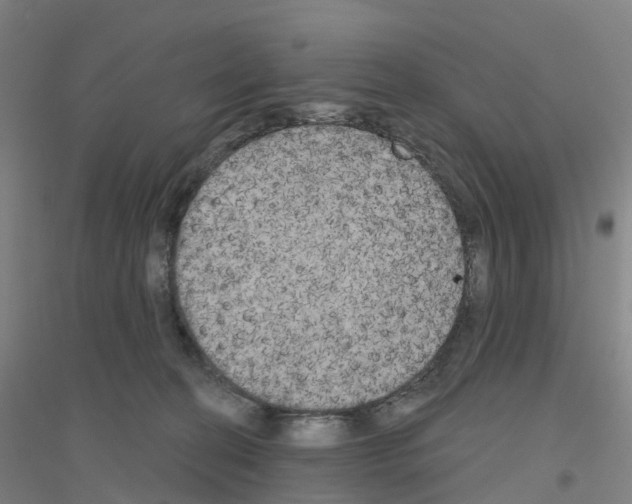 X0000116830274201001291649