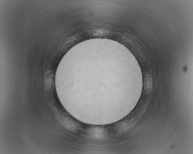 X0000116830276201001291649