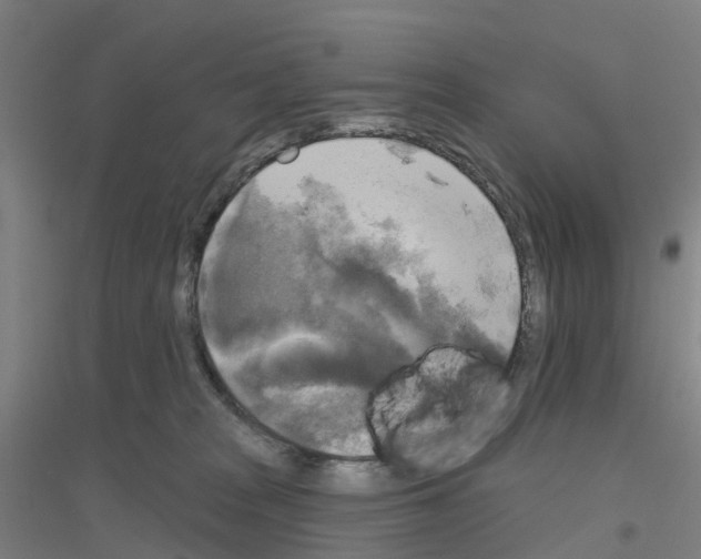 X0000116830277201001291649